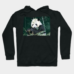 Panda With Bamboo Hoodie